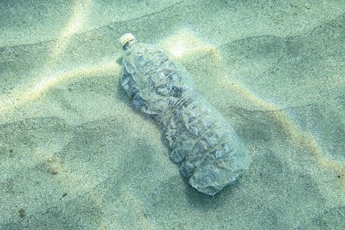 Gran parte dell'inquinamento degli oceani è causato dalla plastica, non acquistare acqua in bottiglia ma scegliere quella proveniente da un purificatore d'acqua vuol dire aiutare l'ambiente
